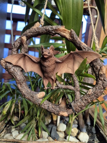 Vampire bat vivid arts - bat,