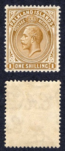 Falkland sg79 deep - falkland,