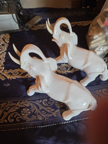Vintage white pereiras - white,
