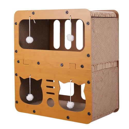 Large cat pet - cat, house
