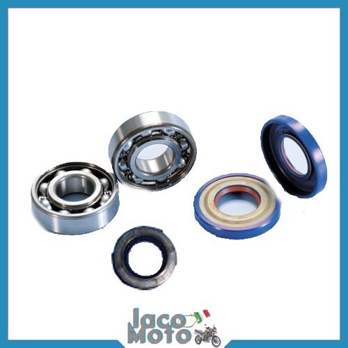Turbine overhaul kit alberto - overhaul,
