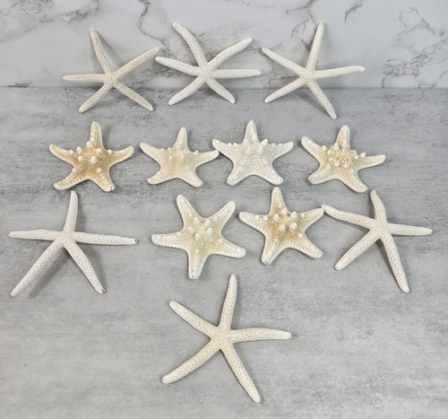 Lot starfish decor - 12,