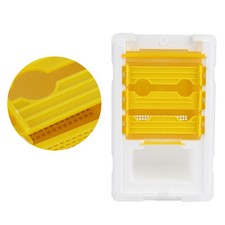 Queen bee mating box - mating,