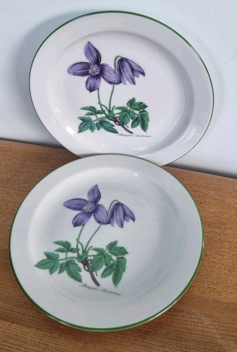 Vintage purple clematis - vintage,