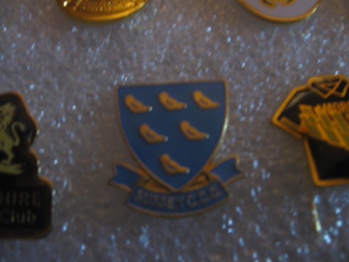Rare old sussex county cricket - county,