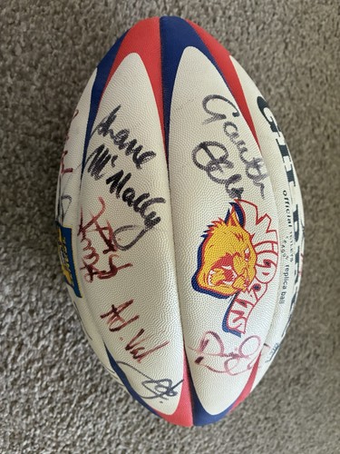 Wakefield trinity - wakefield, (wildcats)