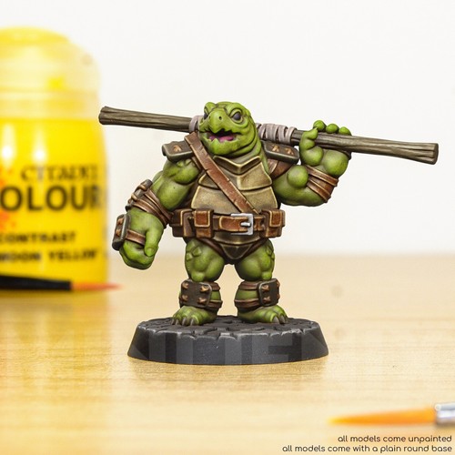 Staff turtle fantasy - bo,