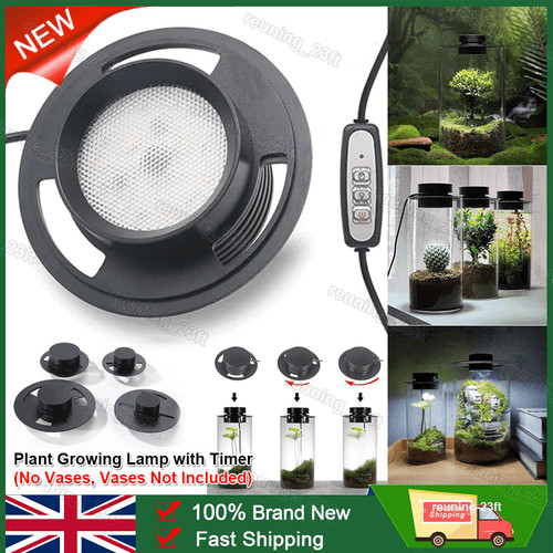 Dimmable usb terrarium plant - terrarium,