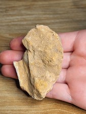 Black Friday Deal! Dinosaur Fossil. Kem Kem Theropod Bone African T-Rex?Ref 8517