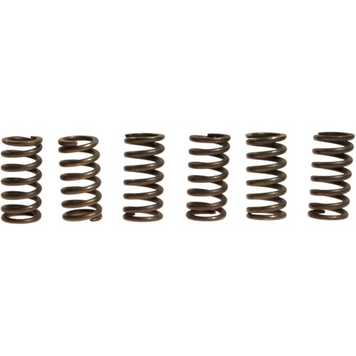 Ebc clutch spring kit - ebc,