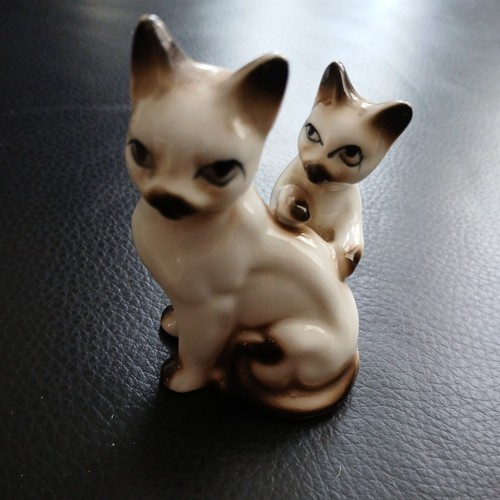 Siamese cat and kitten seated - cat,