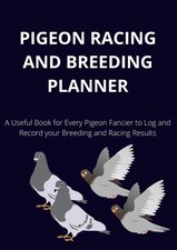 Pigeon racing and breeding - pigeon,