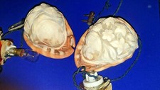 Pair of Superb Early 20th Century Carved Conch  Shell Cameo Lamps