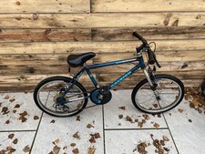 Bike Child’s 20inc Raleigh Activator with Front Suspension Blue