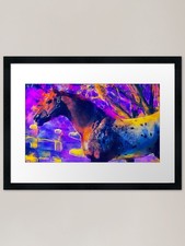 Appaloosa horse � colorful