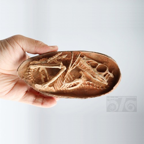 Velociraptor dinosaur egg - velociraptor,