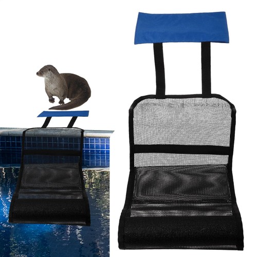 Animal saving escape ramp frog - escape,