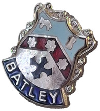 Batley Town Small Pin Badge