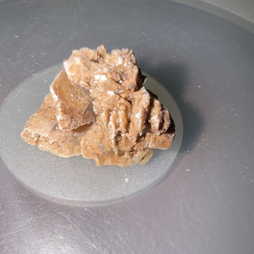Desert rose salinities - desert,