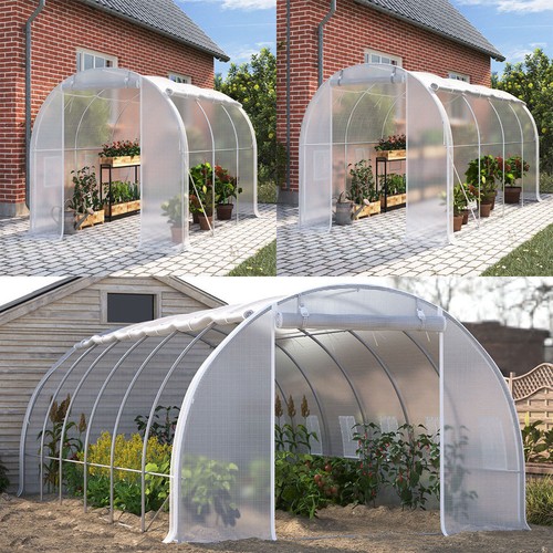 Walk polytunnel greenhouse - walk,
