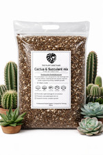 Premium Cactus & Succulent