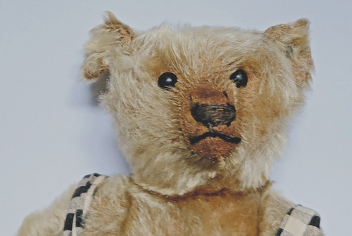 Vintage steiff teddy - steiff,