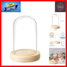 Elegant Clear Glass Cloche