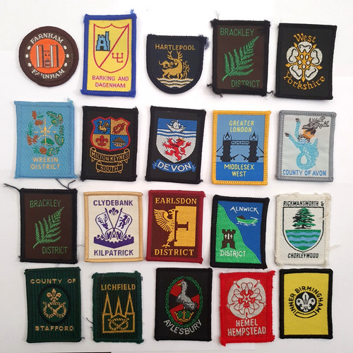 Mixed regions boy scouts - 20,