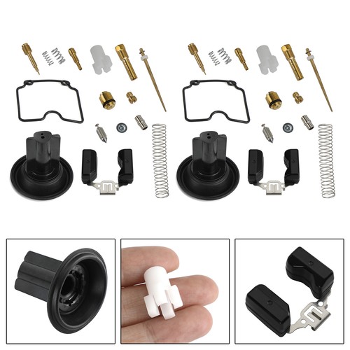 Carburetor rebuild repair - 2x,