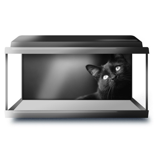 Fish tank background - tank, 90x45cm