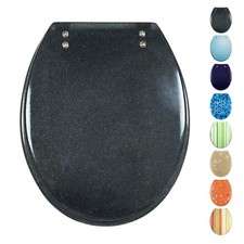 Fanmitrk Resin Toilet Seat