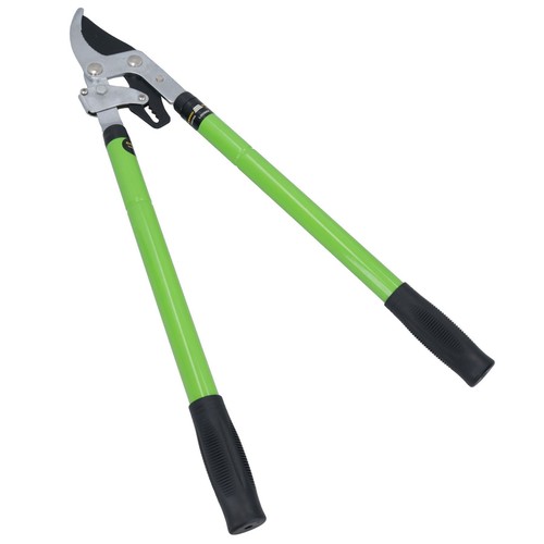 Ratchet loppers extending - ratchet,
