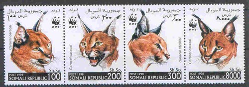 Wwf somalia karakal - -,