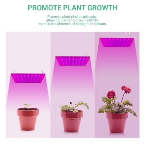 Indoor plants led grow - indoor,