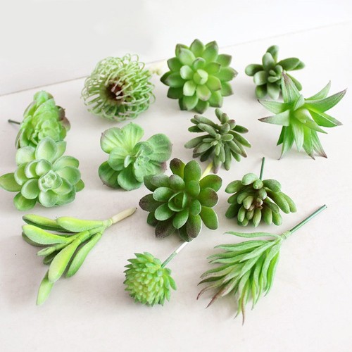 Artificial succulents plant - succulents,