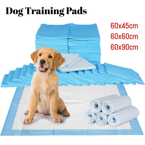 Large puppy training pads - large,