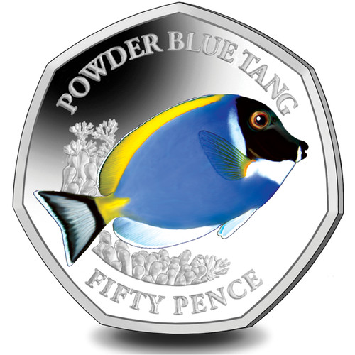 2021 sea creatures - sea, powder
