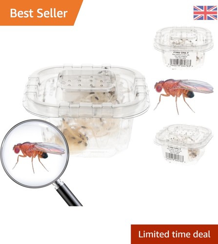Live flightless fruit flies - flightless,