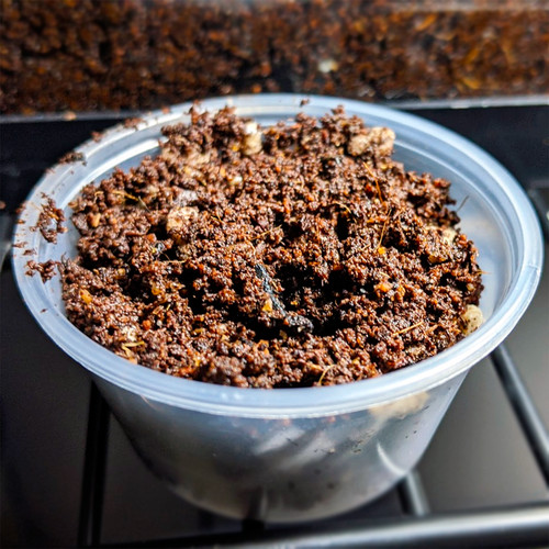 Bioactive spring tail - bioactive, soil