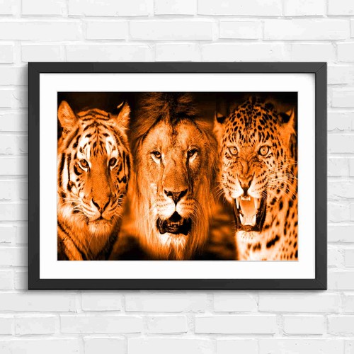 Three majestic big - majestic, wild