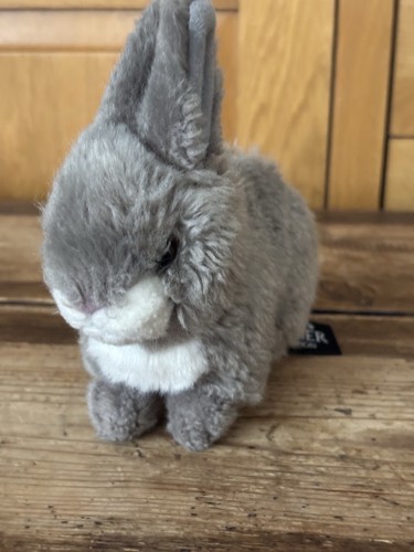 Grey bunny rabbit - rabbit, ark