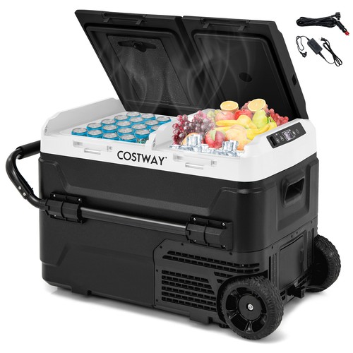 Dual zone 12v - dual,