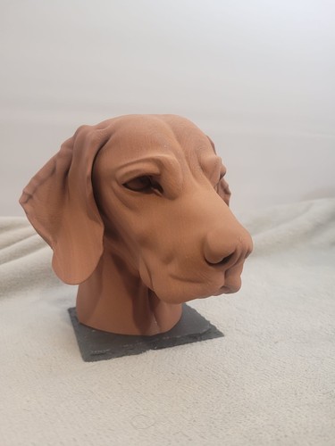 Hungarian vizsla bust ornament - vizsla,