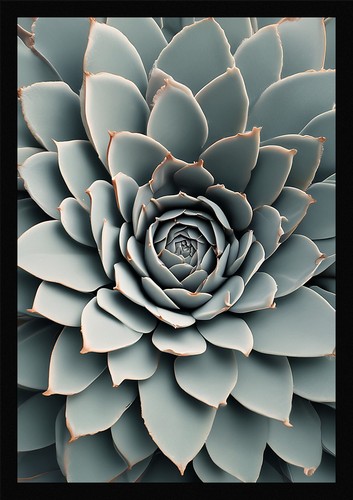 Succulent art stunning framed - succulent,