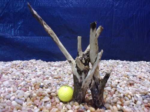 Driftwood aquarium reptile - driftwood,