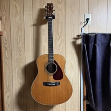 YAMAHA FG-700 Green Label /