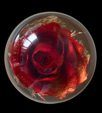 Vintage Beautiful Hafod Grange