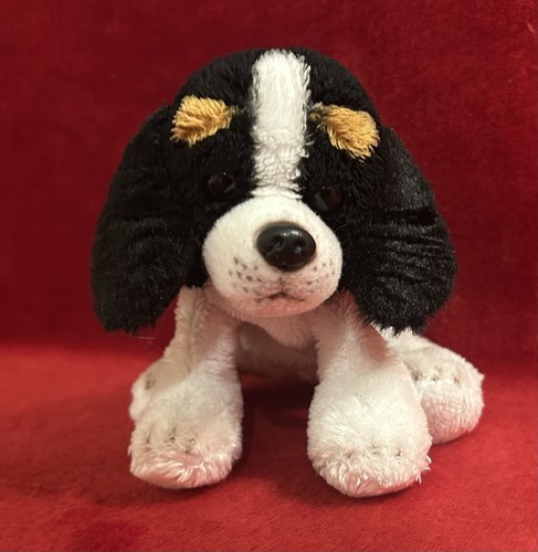 Suki king charles spaniel - suki,