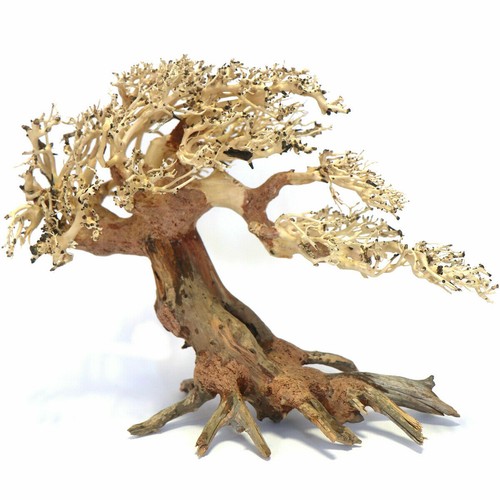 Bonsai trees wood - trees, hand