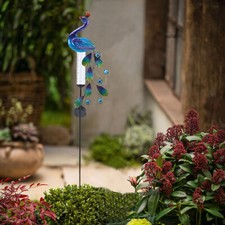 Solar Power Peacock Rain Gauge